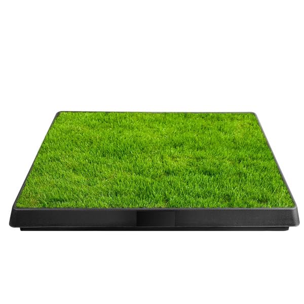 Dog Potty Tray with Artificial Grass O57496