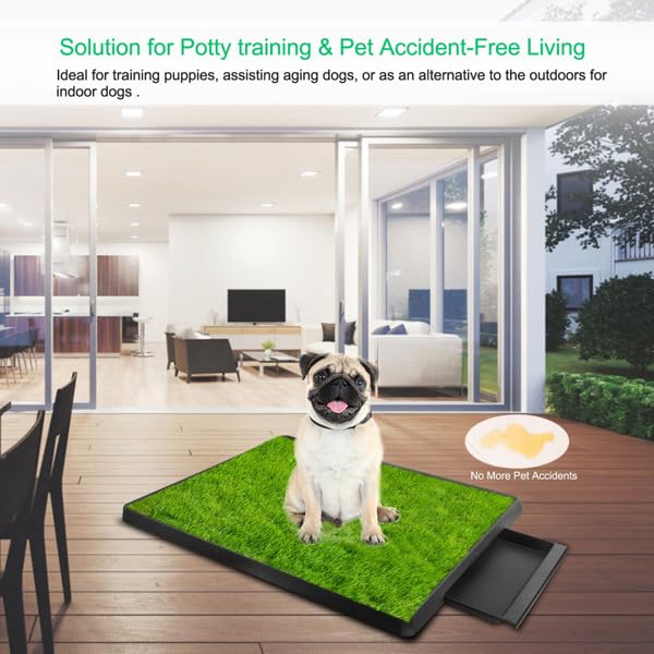 Dog Potty Tray with Artificial Grass O57496