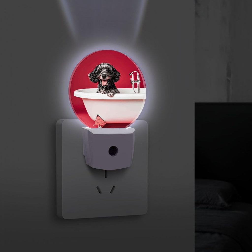 Plug-in Wall Night Light H5050