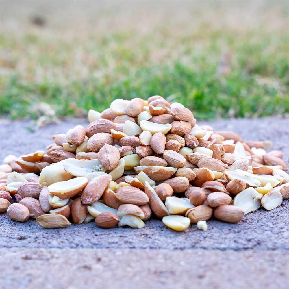 10 Pound Peanuts H36915