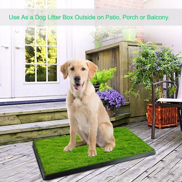 Dog Potty Tray with Artificial Grass O57496