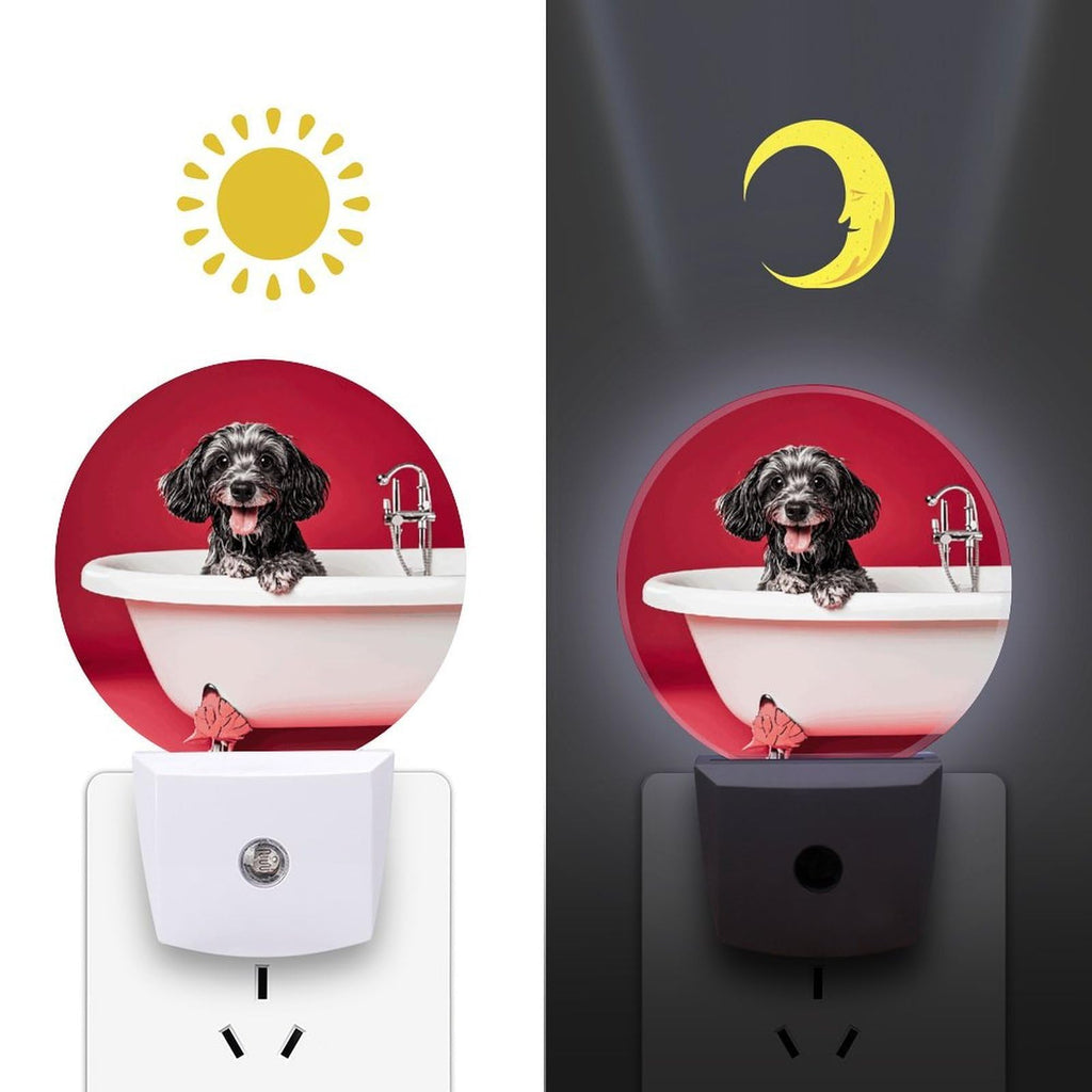 Plug-in Wall Night Light H5050