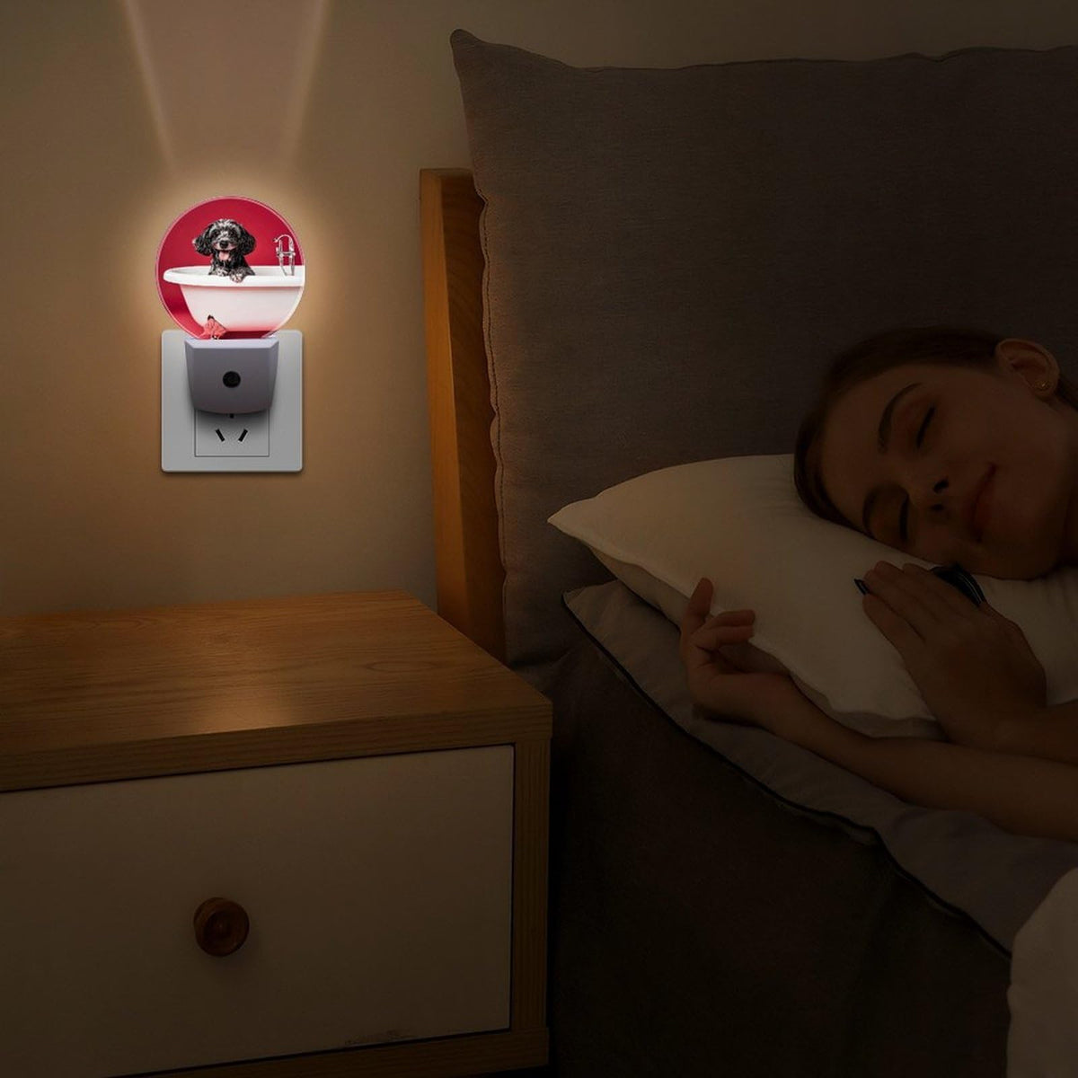 Plug-in Wall Night Light H5050