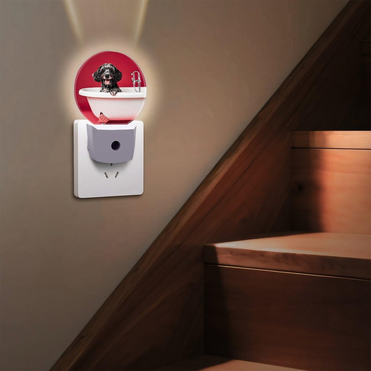 Plug-in Wall Night Light H5050