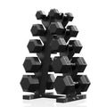 150-600lb Dumbbell Set with Rack J21273