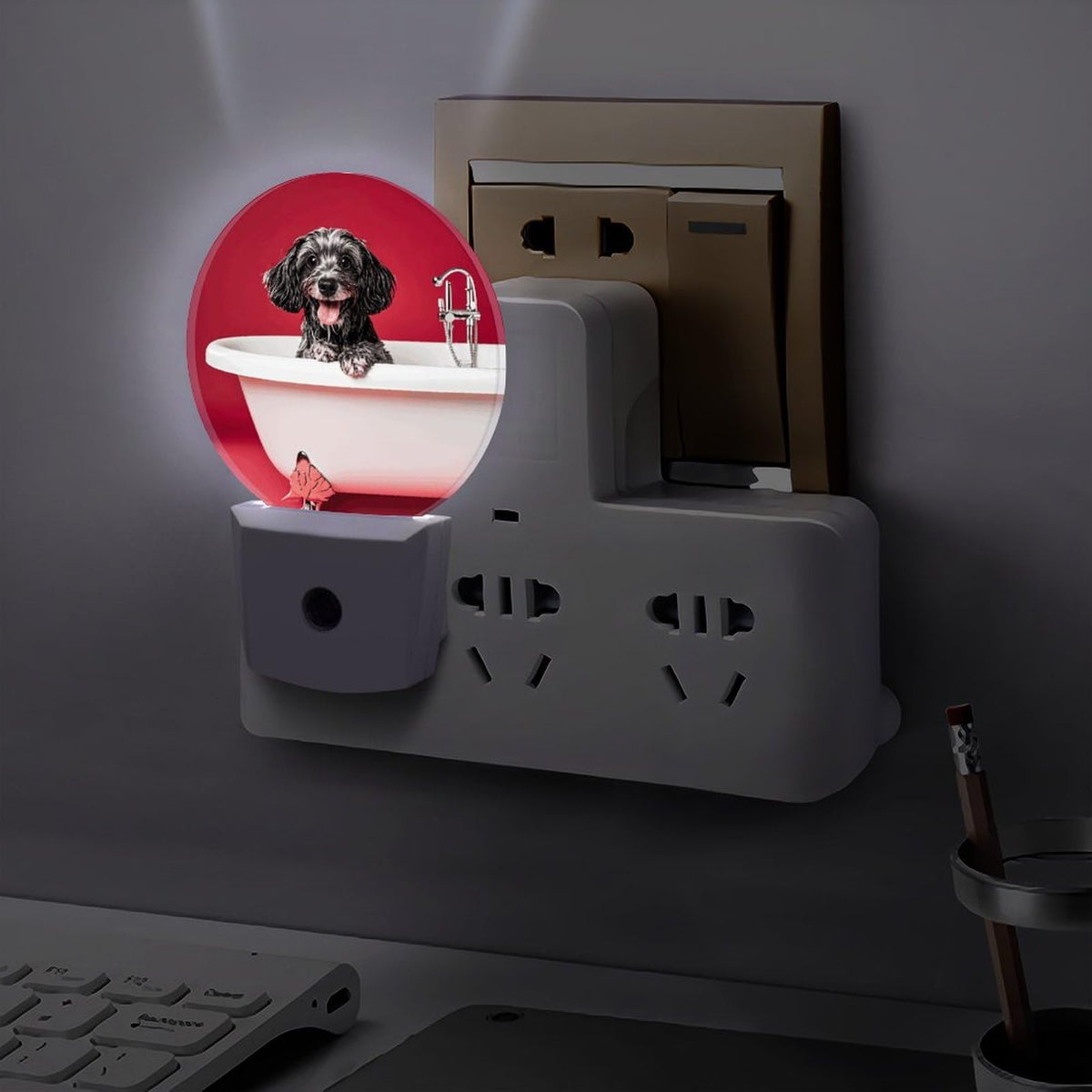 Plug-in Wall Night Light H5050