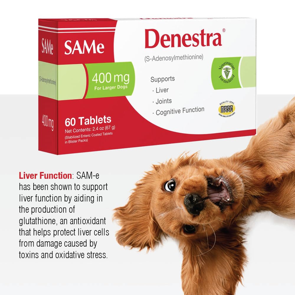 Same for Dogs 200 mg 60 Tablets M448