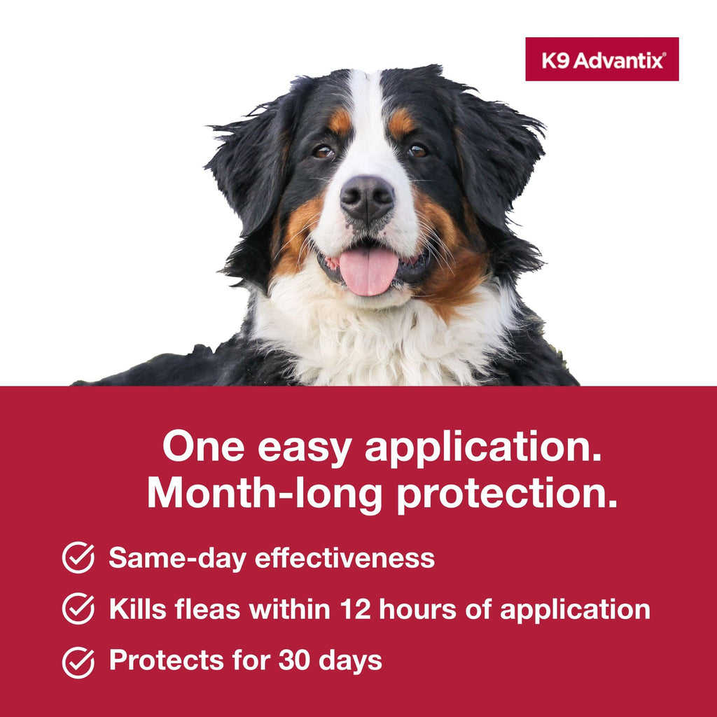 Flea, Tick & Mosquito Prevention for Dogs Over 55 lbs, 2 Treatments R643
