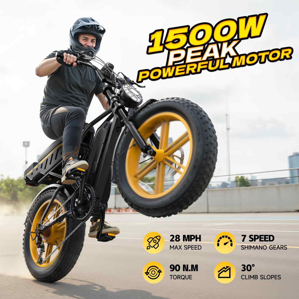 Electric Bike for Adults 48V 15/30 Ah Battery I849742