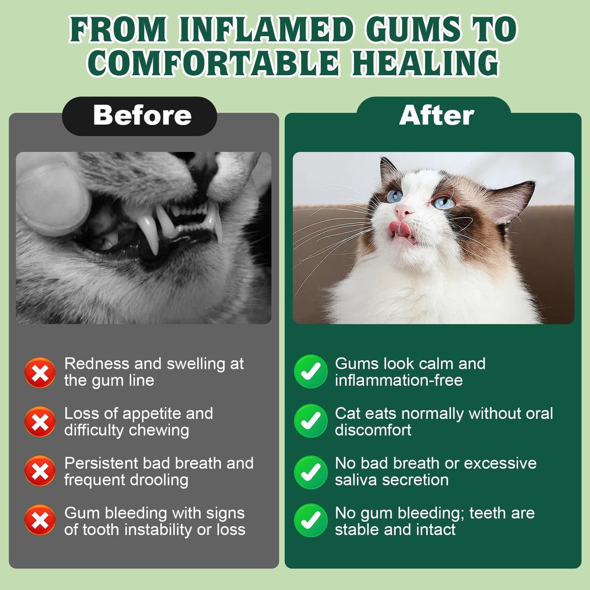 Natural Plant-Based Cat Oral Care 4 oz Y15271