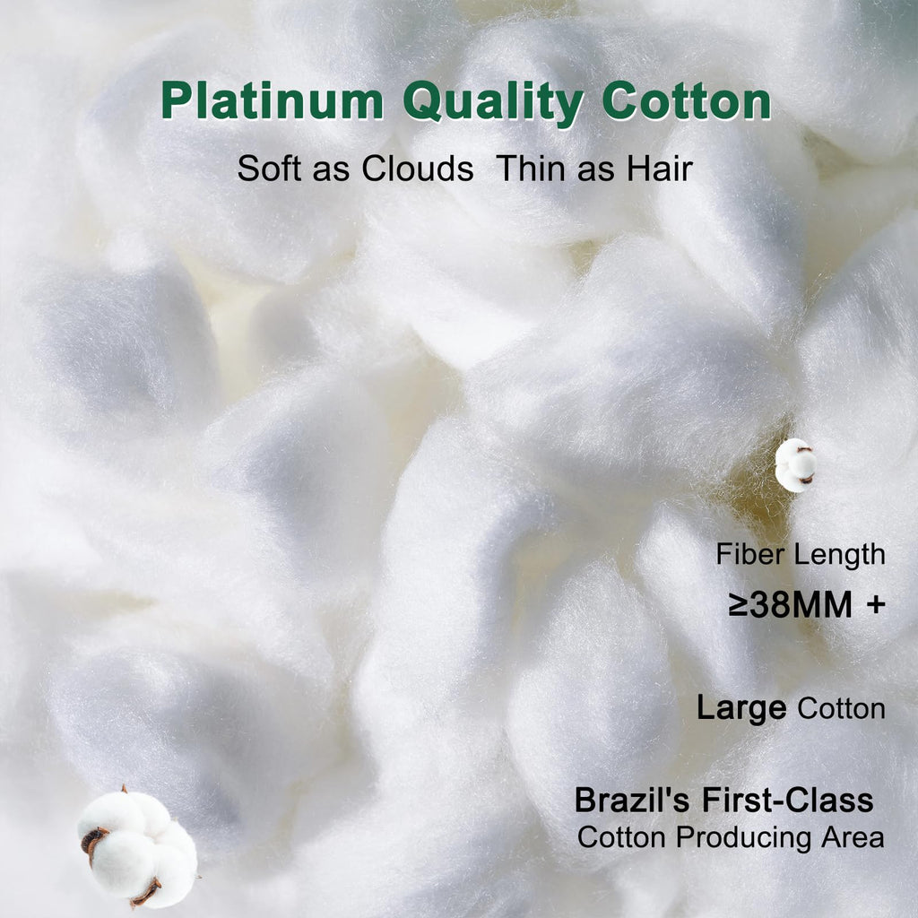 Fluffy Support Bed Pillow Queen Size Set of 2 White H366
