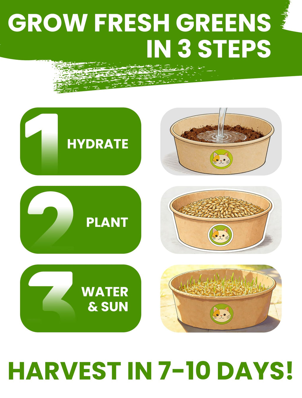 3 Pack Cat Grass Kit with Biodegradable Pots, Soil & Seeds Z6413