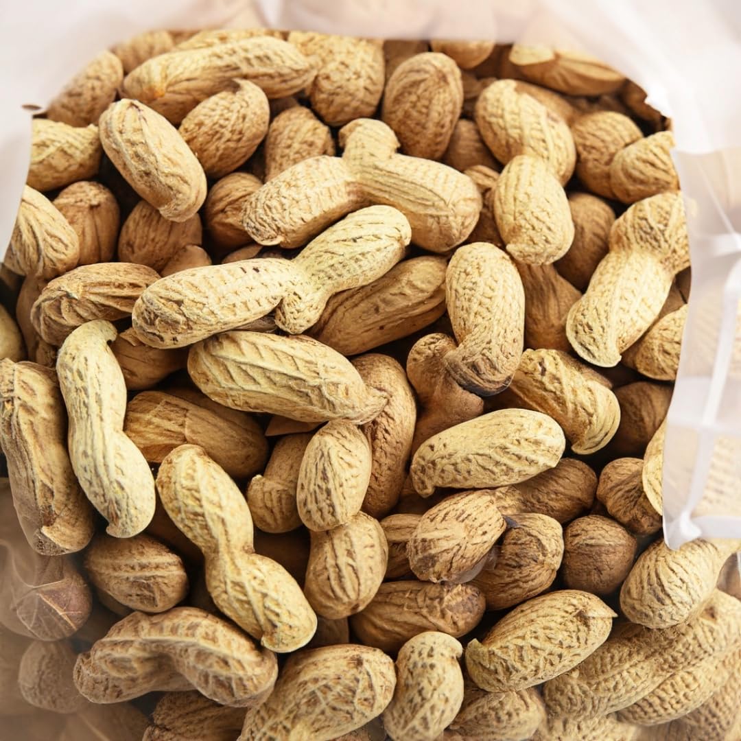 10 LB Unroasted Peanuts in the Shell O9349