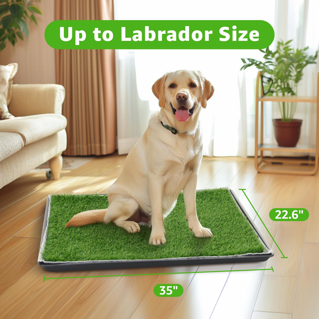 Dog Grass Pad with Tray T14634