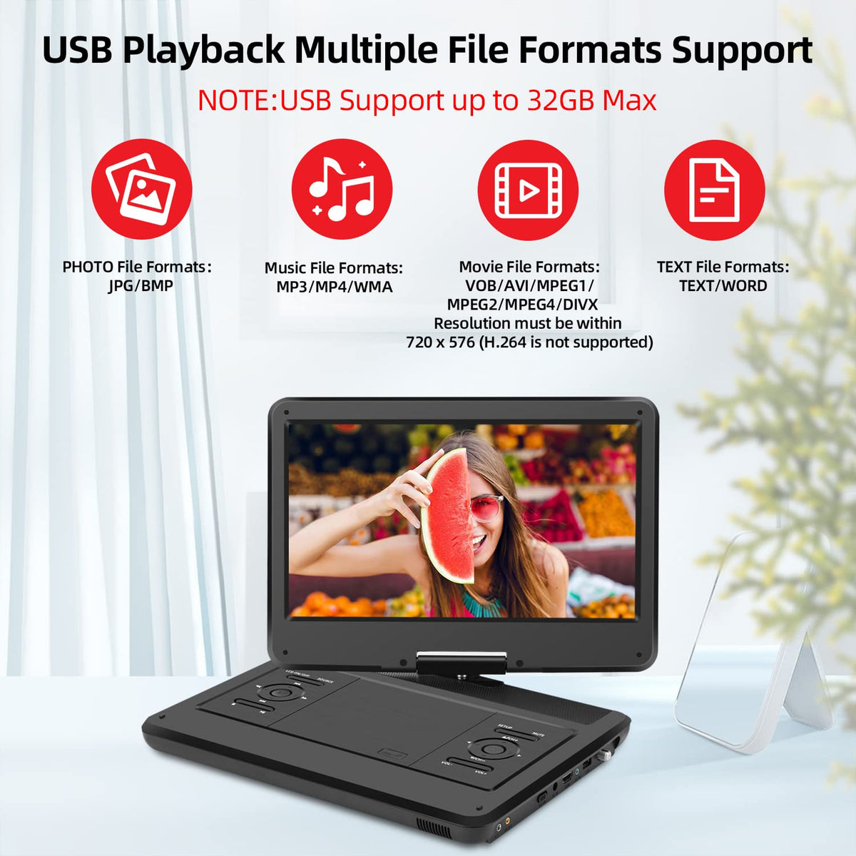 16.5" Portable TV/DVD Player Combo with 14.0" HD Swivel Screen Y2459