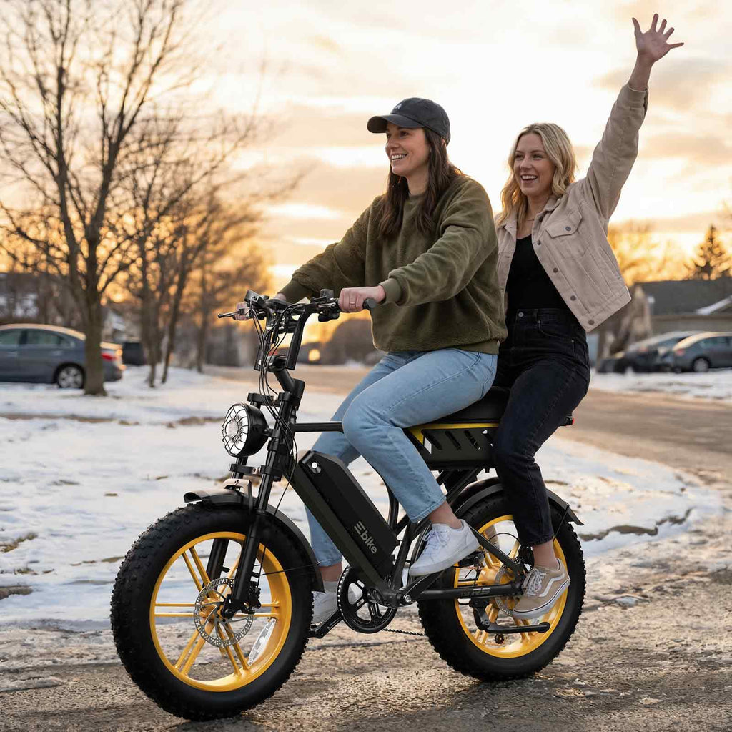 Electric Bike for Adults 48V 15/30 Ah Battery I849742