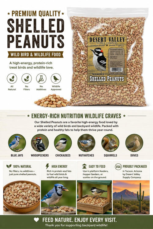 10 Pound Peanuts H36915