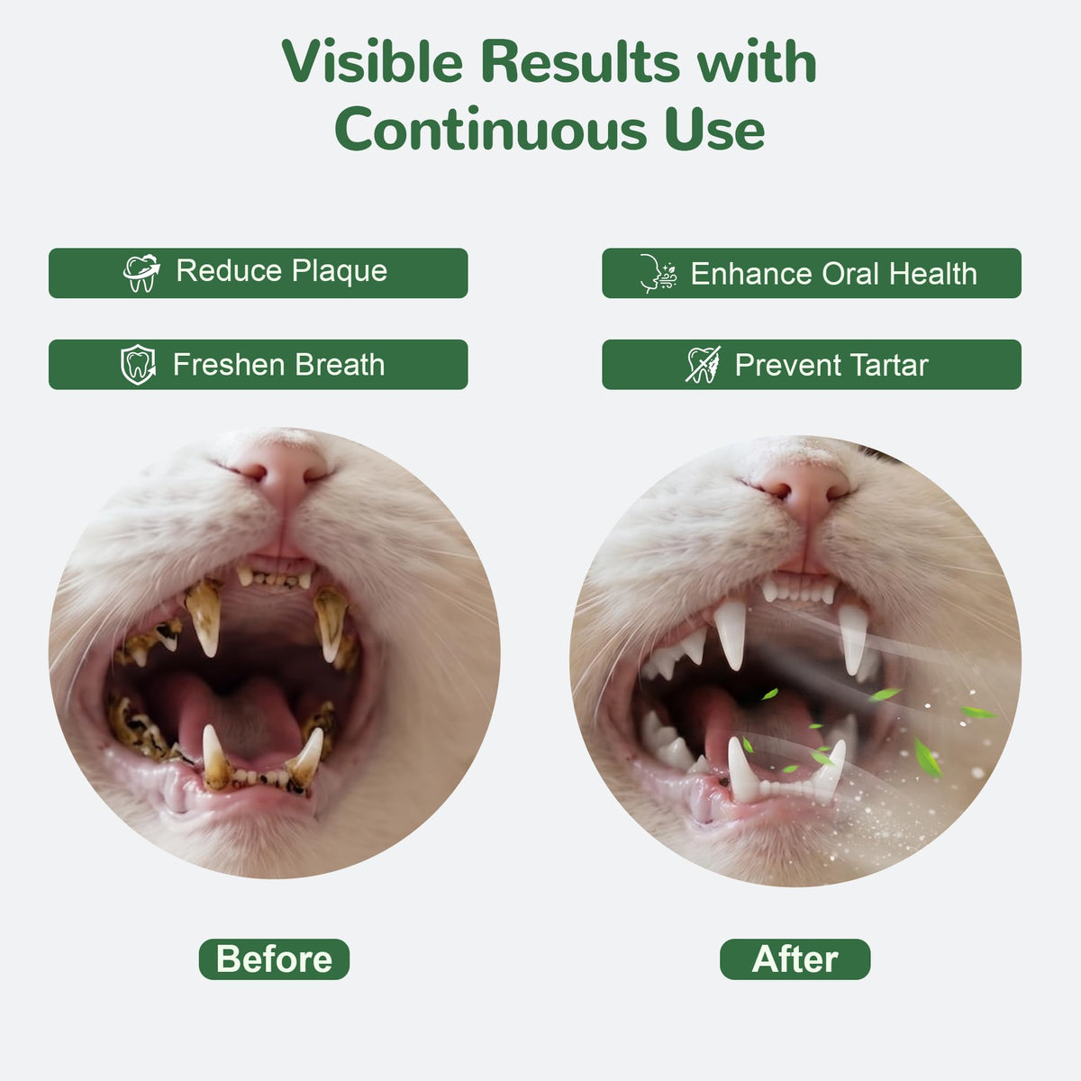 Cat Dental Care Powder with Probiotics 80g F137