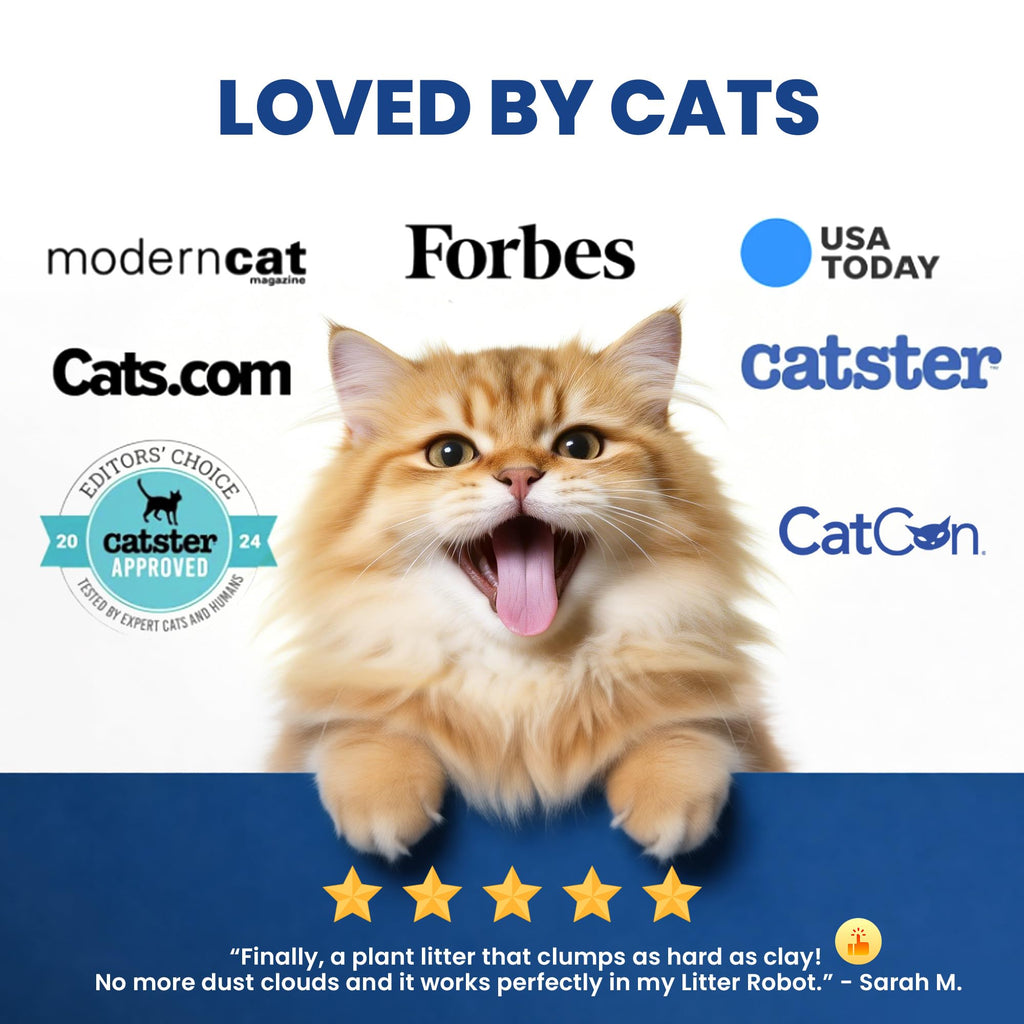Natural Lightweight Clumping Flushable Cat Litter Y103840