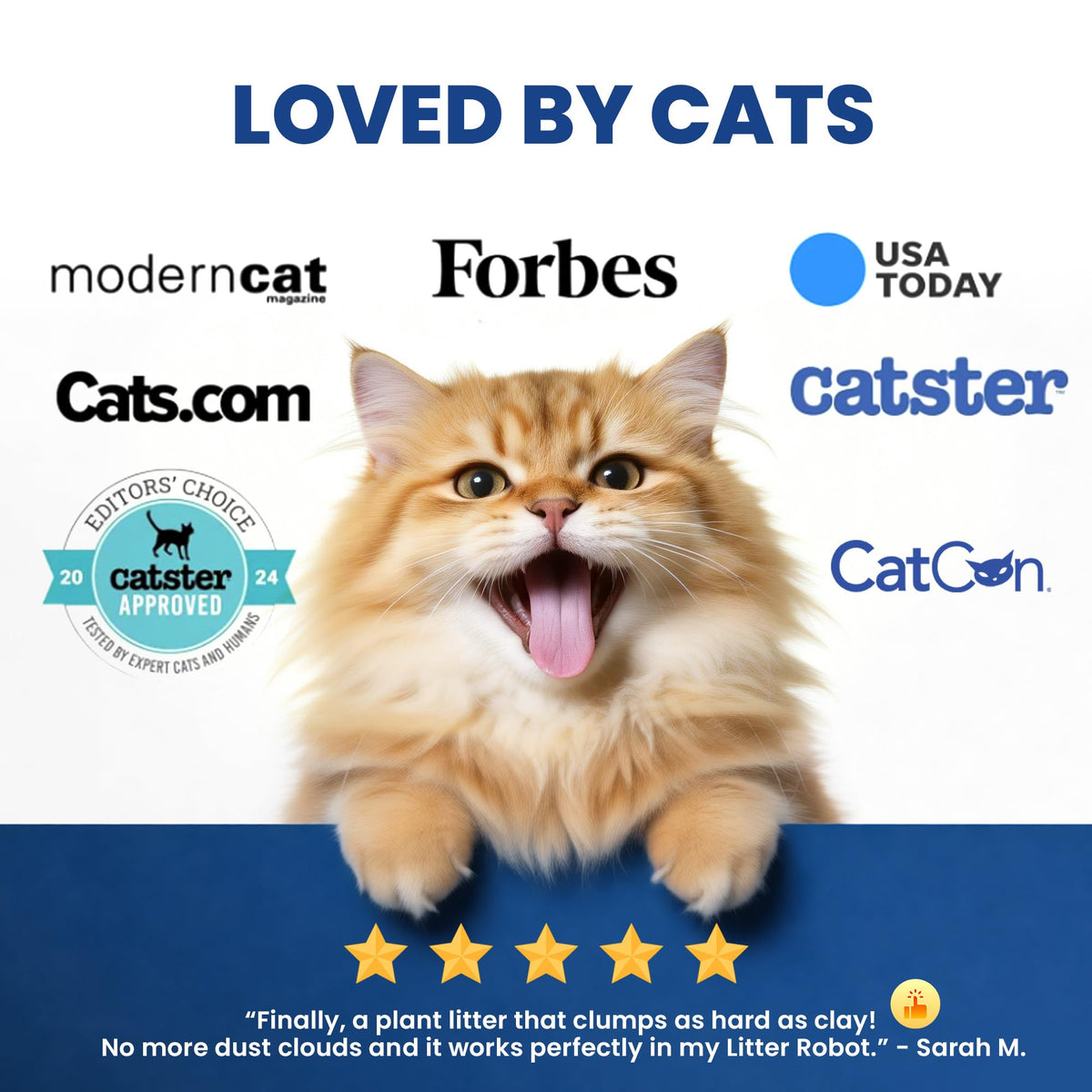 Natural Lightweight Clumping Flushable Cat Litter Y103840