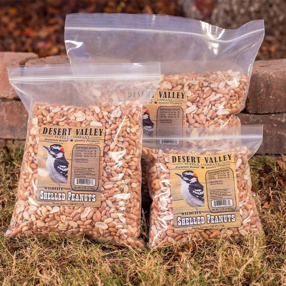 10 Pound Peanuts H36915