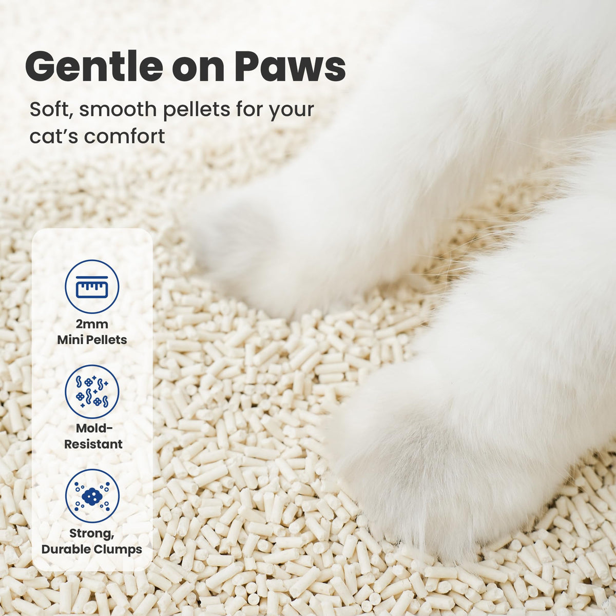 Natural Lightweight Clumping Flushable Cat Litter Y103840