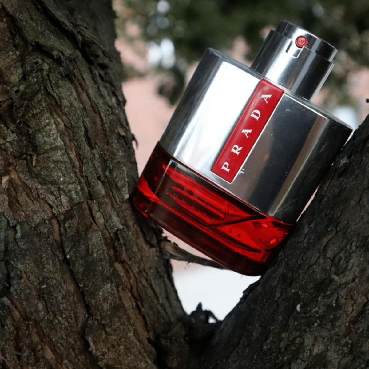 Eau de Toilette 100 ml K119934