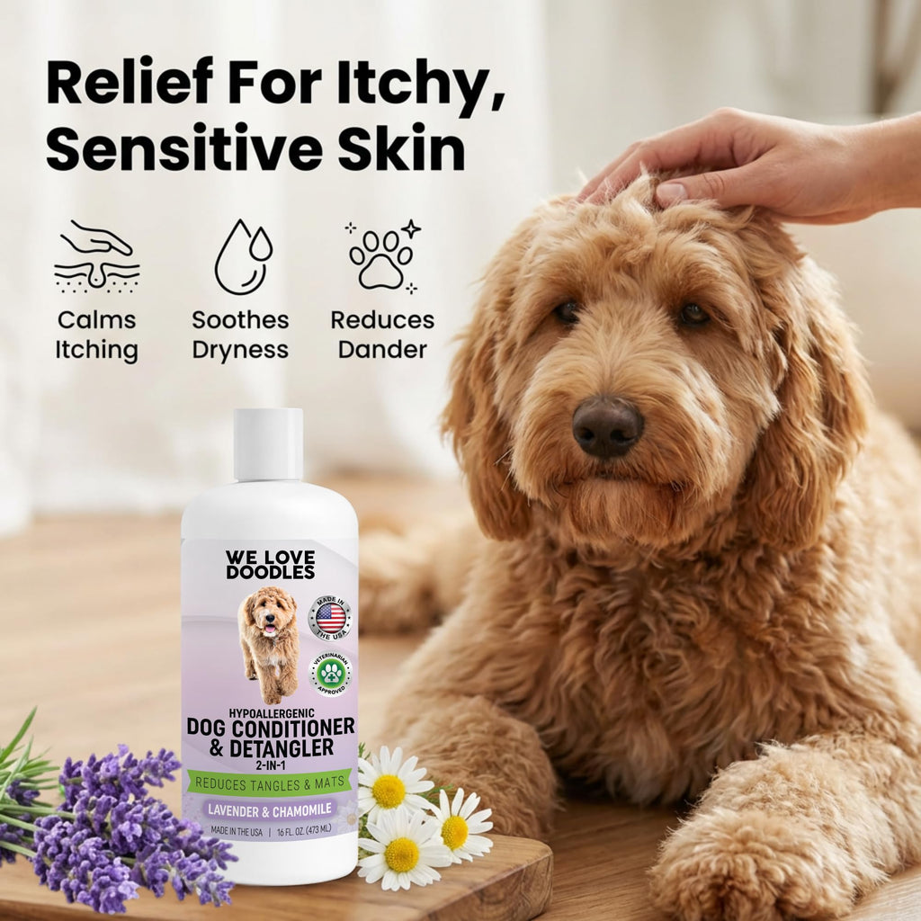 2-in-1 Dog Conditioner & Detangler, Lavender, 16OZ B3170