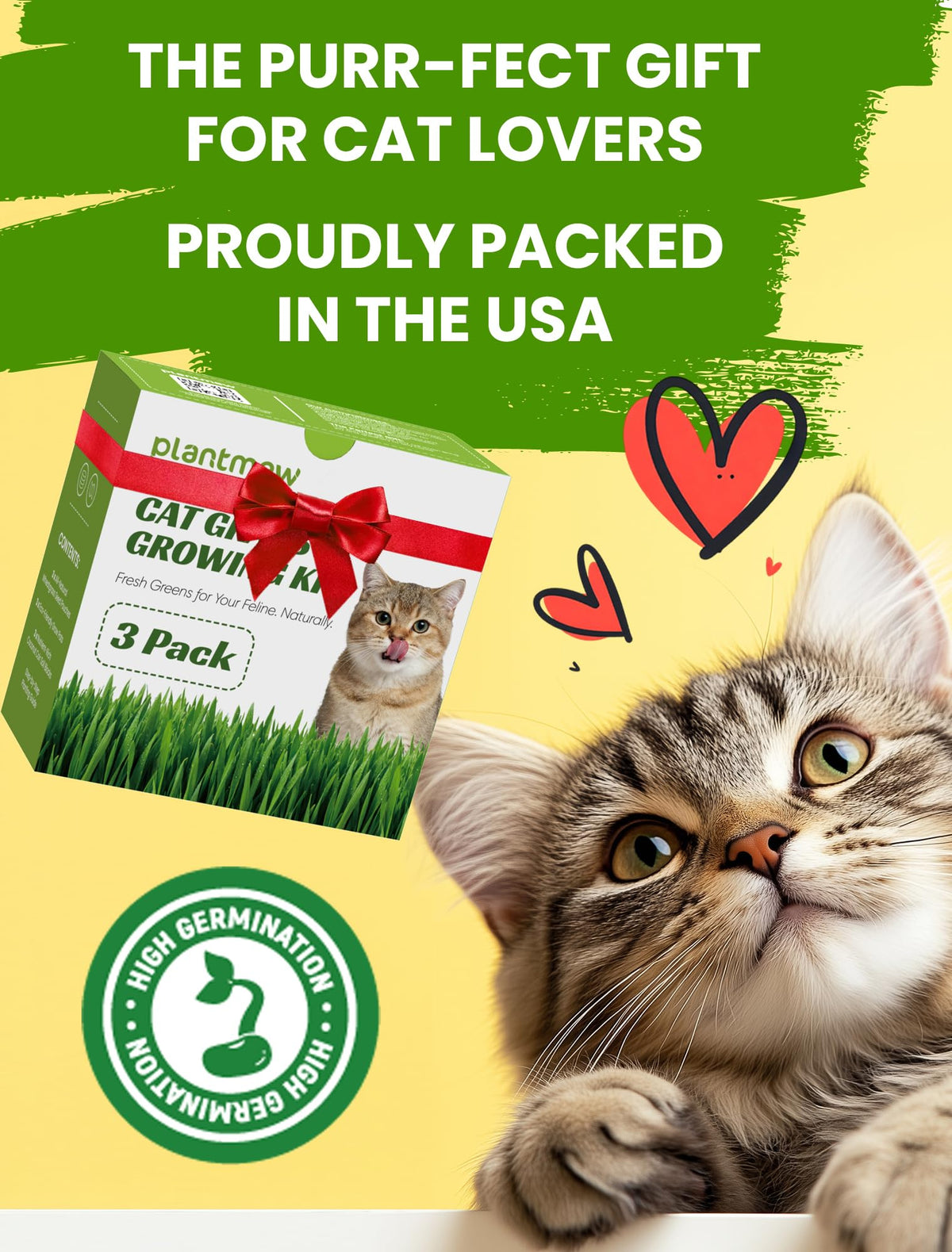 3 Pack Cat Grass Kit with Biodegradable Pots, Soil & Seeds Z6413