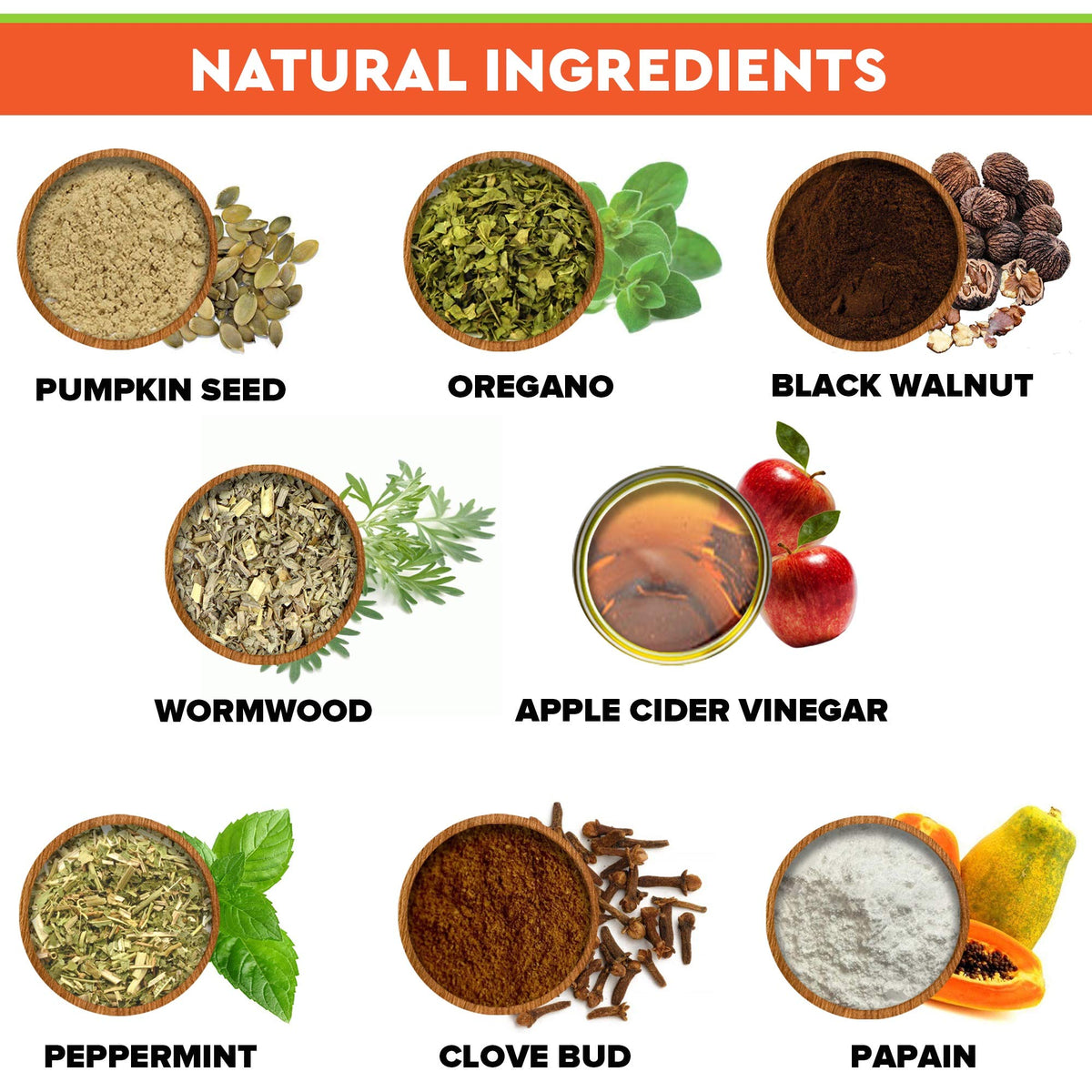 Herbal Cleanse for Dogs and Cats 2fl.oz Y50230