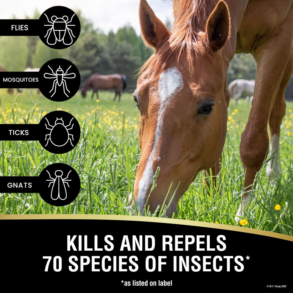 Insecticide & Repellent 128 fl oz Q943