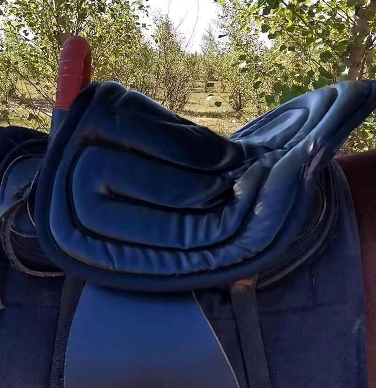Western Saddle Cushion Pad S538888