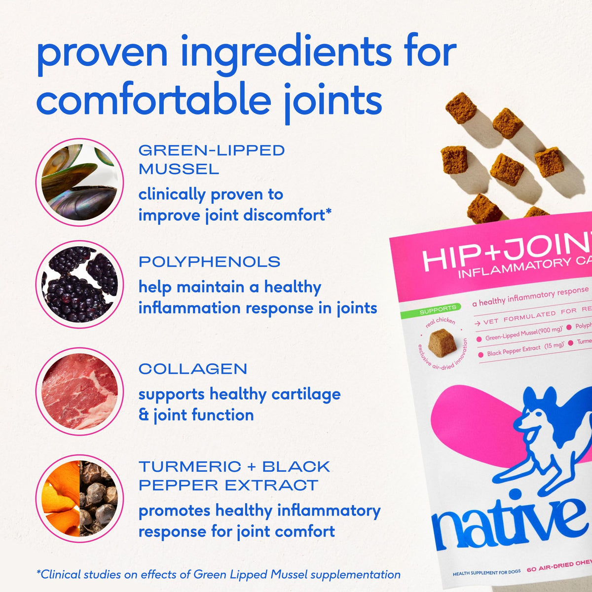 Green-Lipped Mussel Turmeric Collagen Hip and Joint Supplement for Dogs 120 Chews V30346