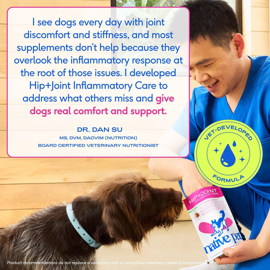 Green-Lipped Mussel Turmeric Collagen Hip and Joint Supplement for Dogs 120 Chews V30346