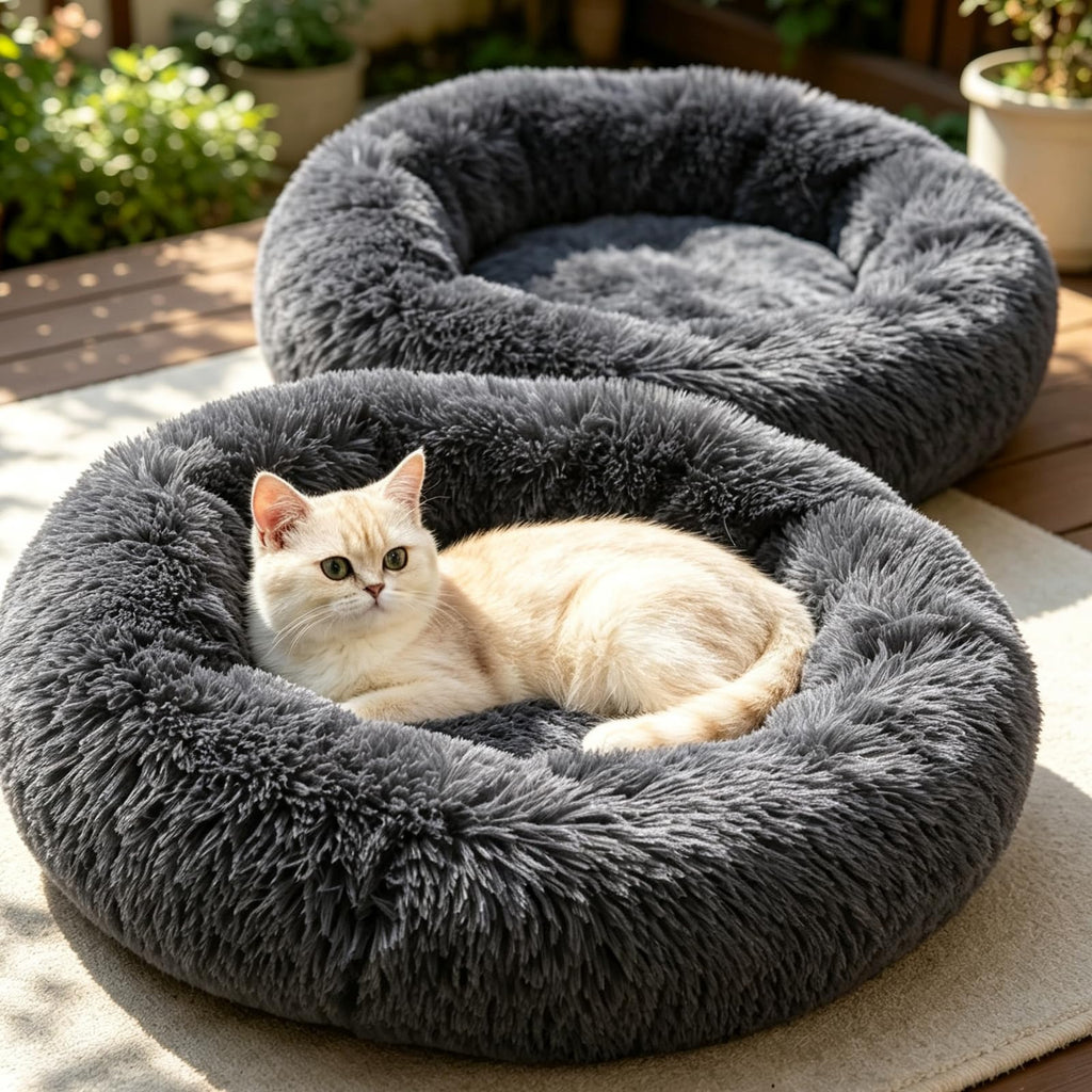 Cat Bed T6397
