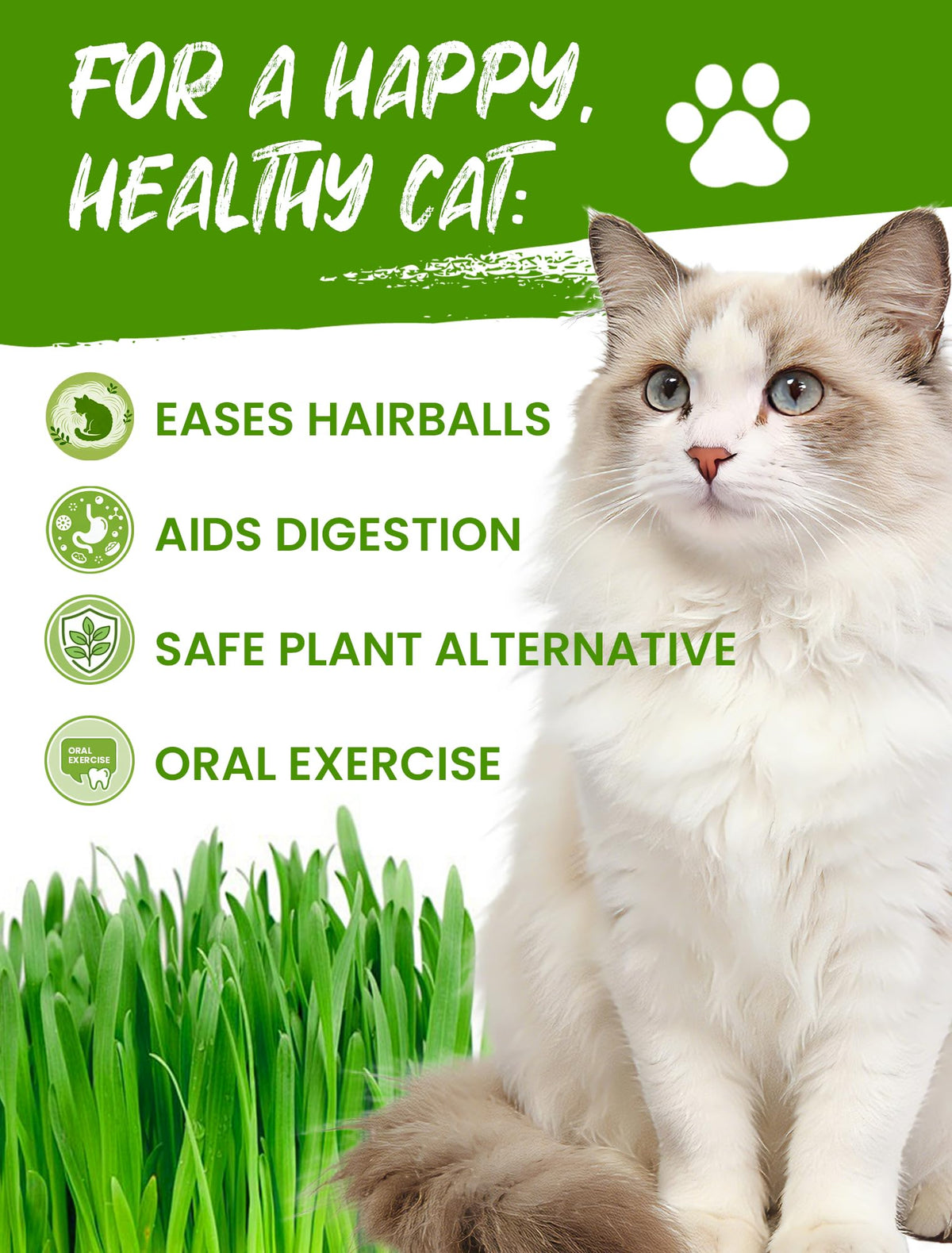 3 Pack Cat Grass Kit with Biodegradable Pots, Soil & Seeds Z6413
