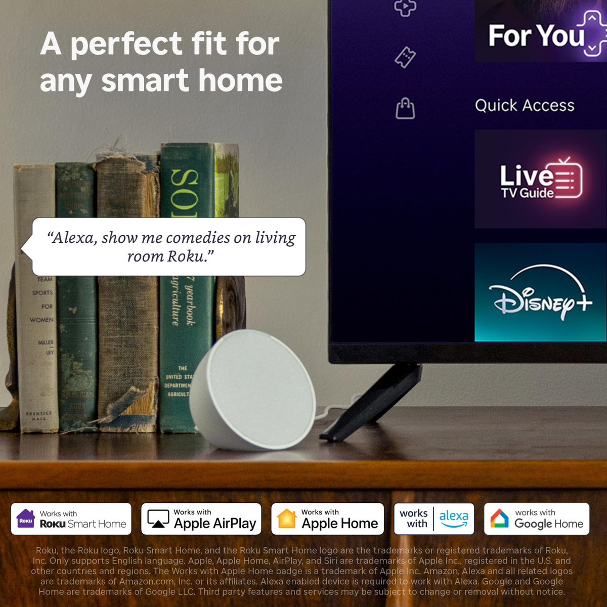 24-Inch Smart TV C5513