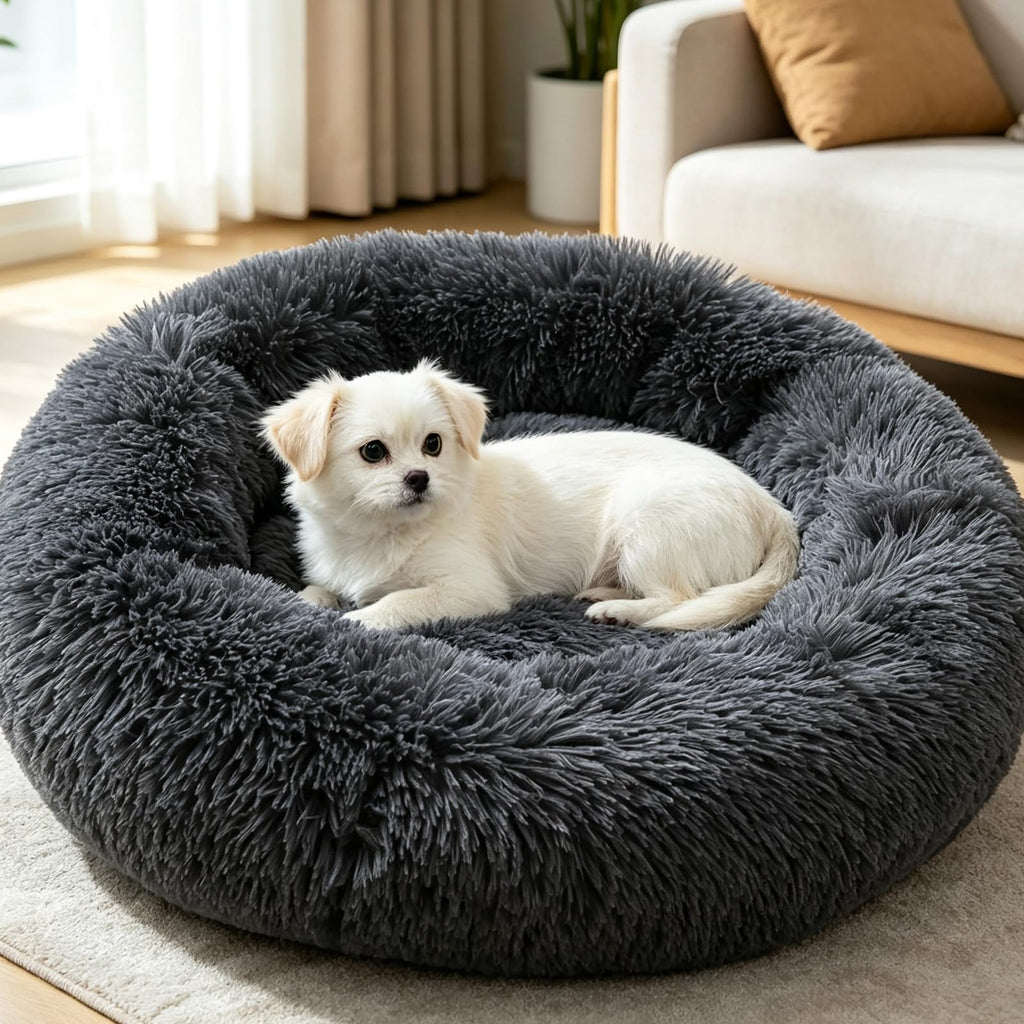 Cat Bed T6397