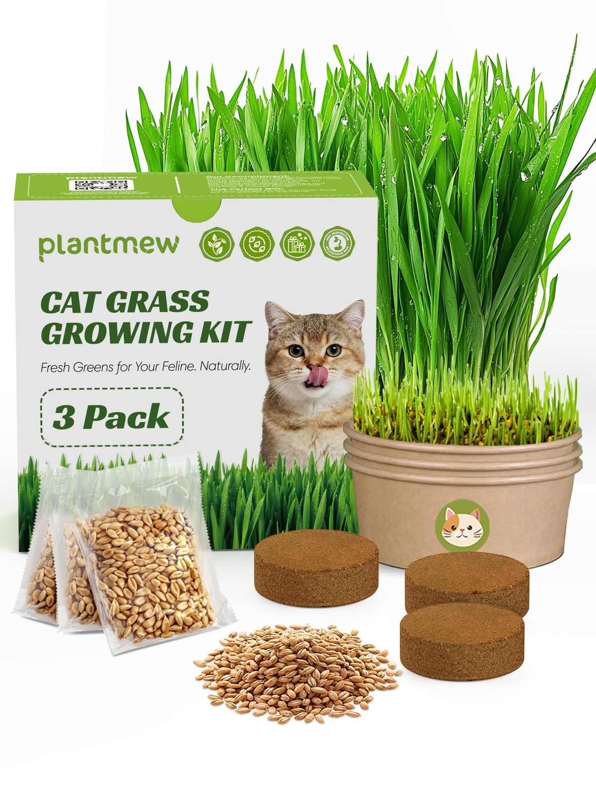 3 Pack Cat Grass Kit with Biodegradable Pots, Soil & Seeds Z6413
