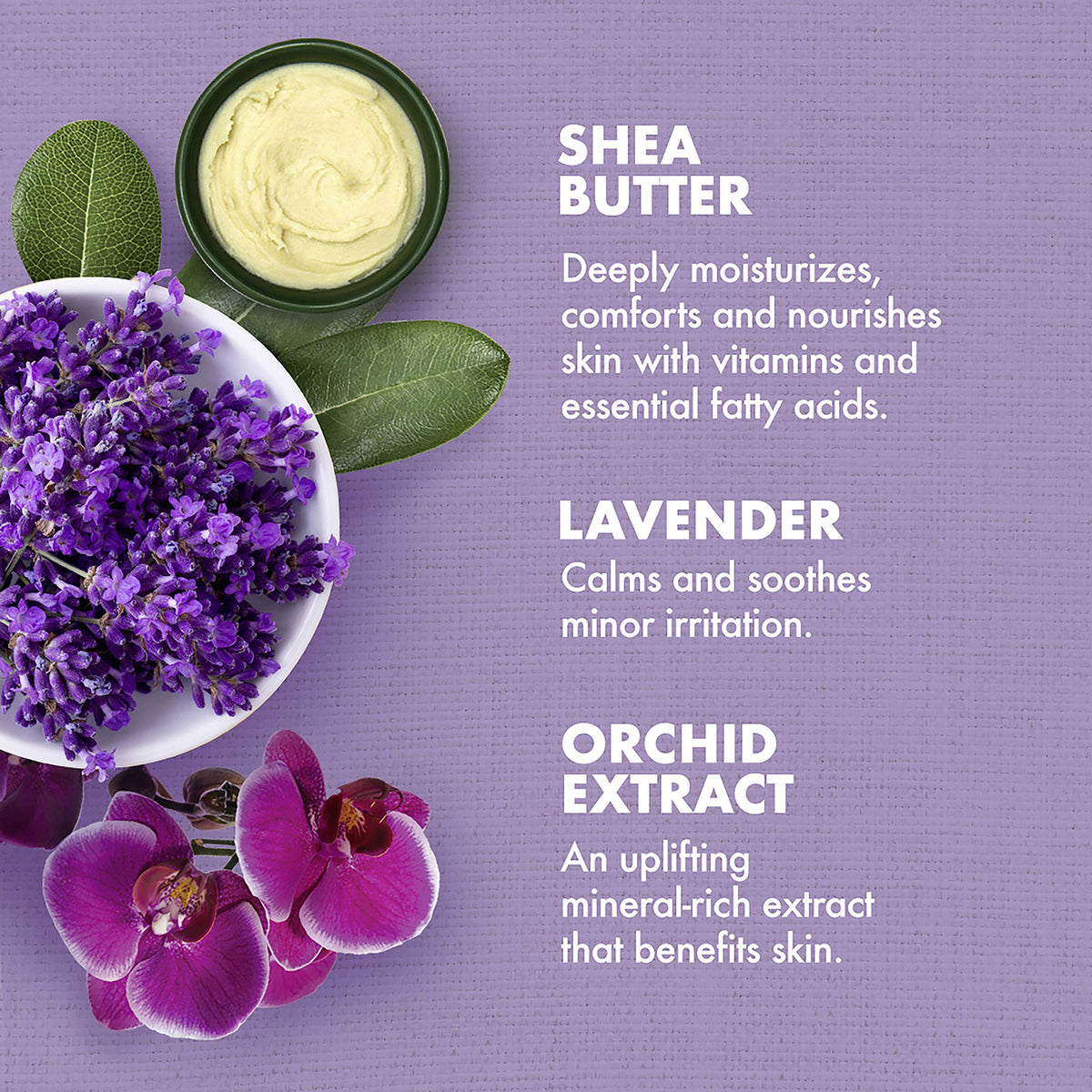 Lavender Wild Orchid Calming Bath Body Massage Oil 8 oz V1634